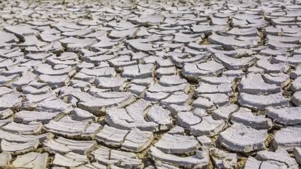 Barro seco agrietado en grietas
 - Metraje, vídeo