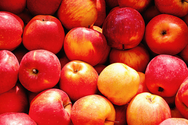 rote, gelbe Äpfel in großen Mengen als Hintergrund - Foto, Bild