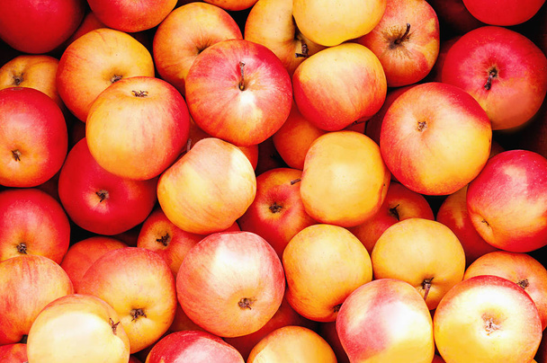 Červená, žlutá jablka ve velkém množství jako pozadí - Fotografie, Obrázek