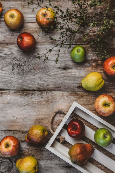 pears and apples - Fotoğraf, Görsel