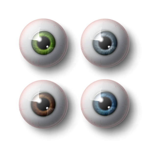 Bolas de ojo humano
 - Vector, Imagen