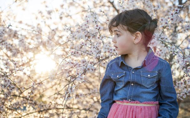 mała dziewczynka pozowanie w blossom spring migdałów - Zdjęcie, obraz