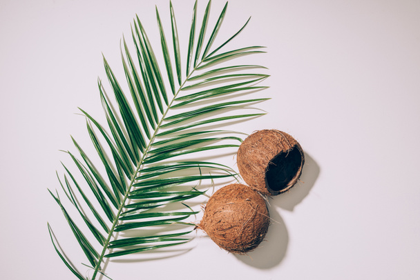 bovenaanzicht van kokosnoot schelpen en groene palm bladeren op wit - Foto, afbeelding