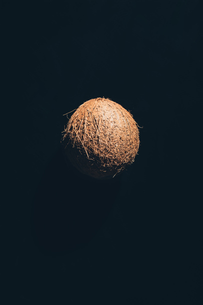 крупным планом вид одного цельного спелого кокоса, изолированного на черном
 - Фото, изображение