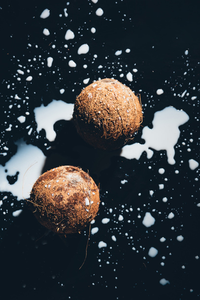top view of organic coconuts and fresh healthy coconut milk on black    - Foto, Bild