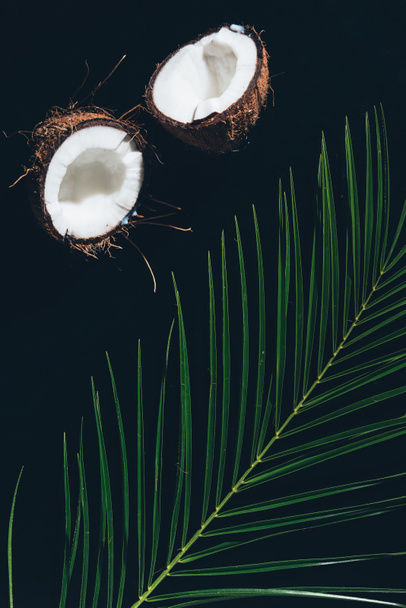 top view of halved coconut and green palm leaves on black - Photo, Image