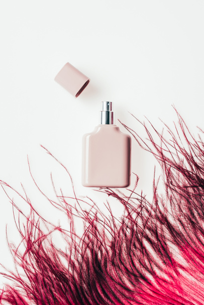 top view of bottle of perfume with red feather on white - Fotoğraf, Görsel