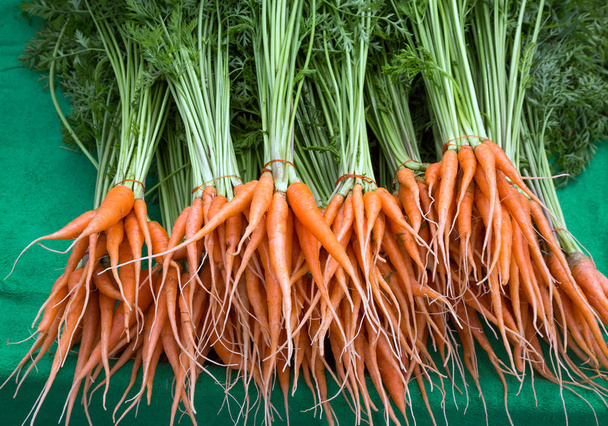 Baby καρότα, φρούτα και λαχανικά, βότανα χρήσιμα για την υγεία και σώμα. - Φωτογραφία, εικόνα