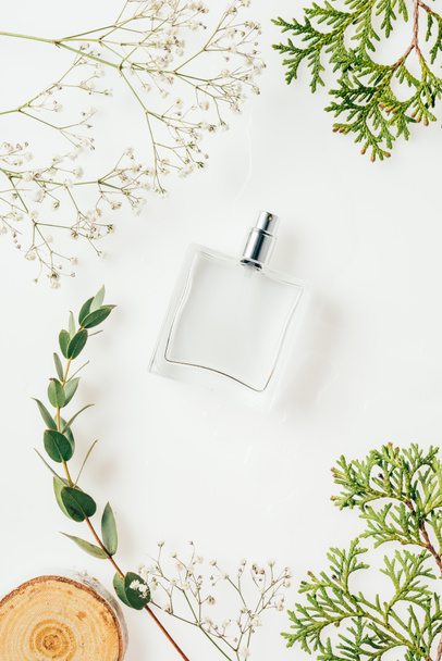 top view of bottle of perfume with green branches and wood cut on white - Fotoğraf, Görsel