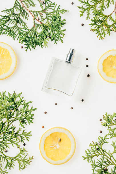 top view of bottle of fresh perfume with green branches and lemon slices on white surface - Foto, Bild