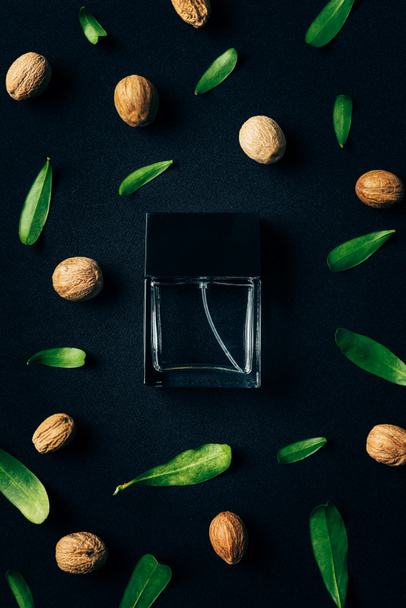 top view of bottle of perfume with green leaves and walnuts around on black - Photo, Image