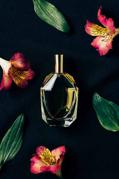 Draufsicht auf eine Flasche Parfüm, umgeben von Alstroemeria-Blüten und Blättern auf schwarz - Foto, Bild