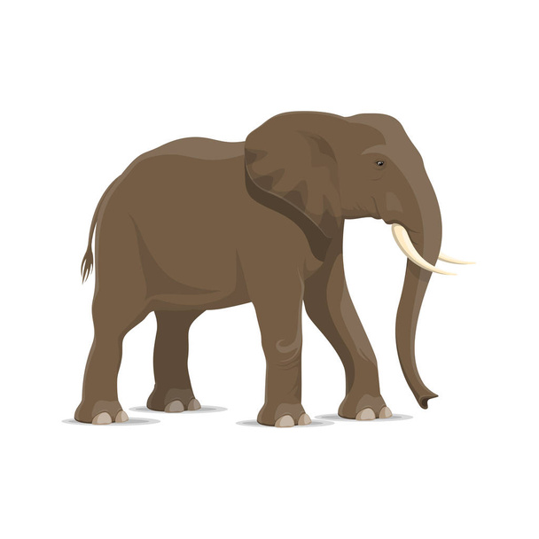 Elephant animal icon of african savanna mammal - Vector, Image
