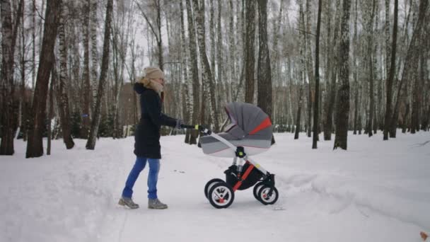 Όμορφη μητέρα σπρώχνοντας το καρότσι στο χειμερινό πάρκο. - Πλάνα, βίντεο