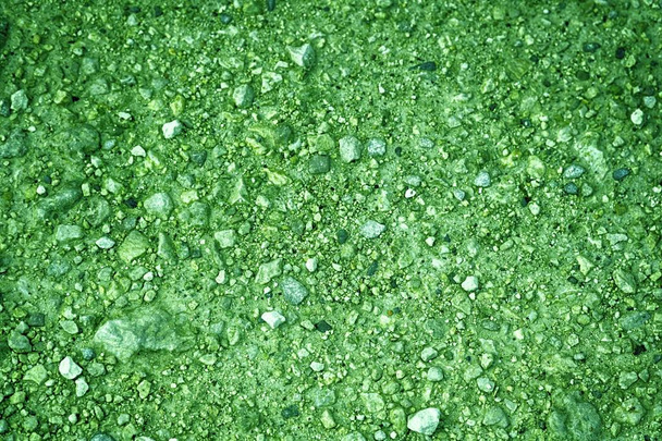 Ultra zöld textúra, homok felszín, kő háttér - Fotó, kép