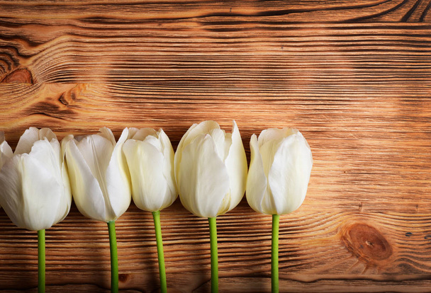 White tulips laying in horizontal row on wooden background - Fotografie, Obrázek