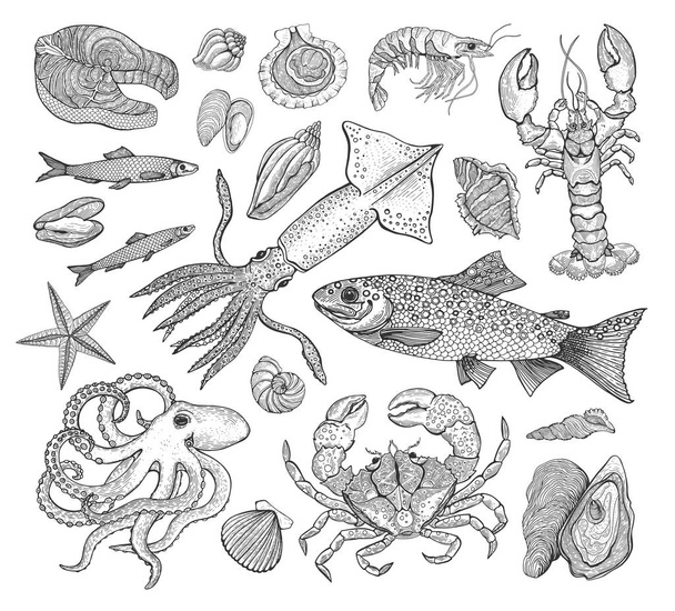 Vector seafood big collection with crab, lobster, shrimp, fish, trout, squid, seashells, octopus. Vintage engraving illustration art. Templates for design sea shops, restaurants, markets. - Vektör, Görsel