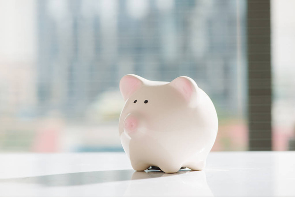 Lovely pink piggy bank standing by the window - 写真・画像