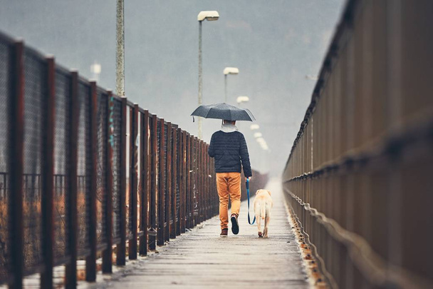 Mann mit Hund geht bei Regen spazieren - Foto, Bild