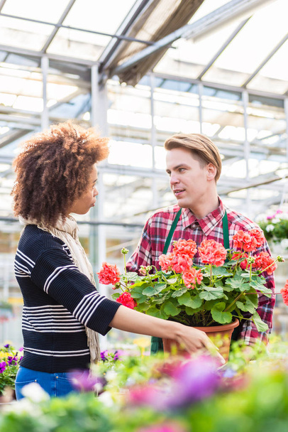 Belle femme achetant un pélargonium rouge sur les conseils d'un fleuriste
 - Photo, image