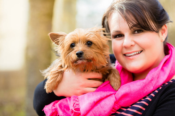 Yorkshire terriër op arm van hond mama  - Foto, afbeelding