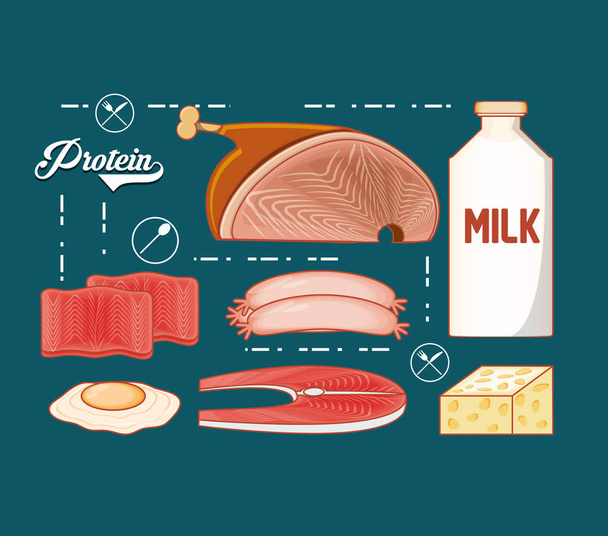 dieta de proteínas alimentos saludables
 - Vector, imagen