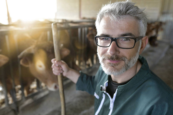 Smiling farmer standing in cow shed  - Fotografie, Obrázek