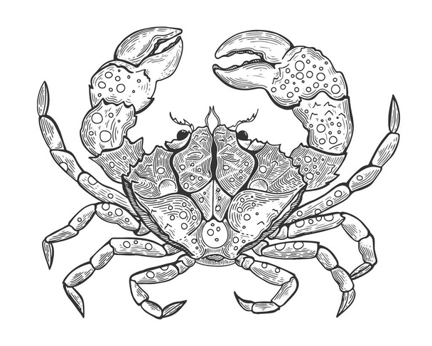Hand drawn vintage graphic illustration with realistic crab. Marine creature. Vintage engraving illustration art. Healthy food. Templates for design sea shops, restaurants, markets. - Vector, Image