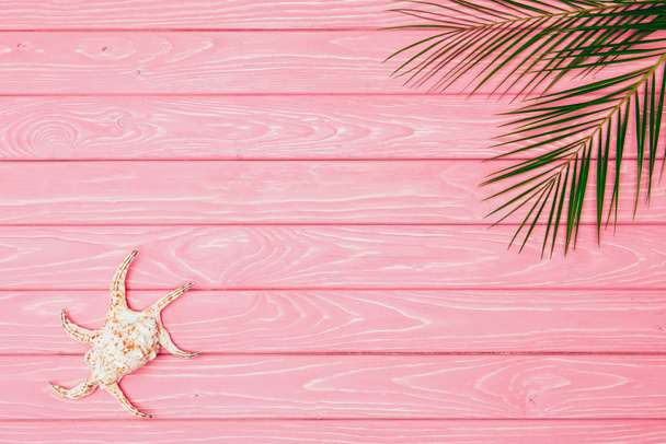 vista superior de concha con hojas de palma sobre superficie de madera rosa
 - Foto, imagen