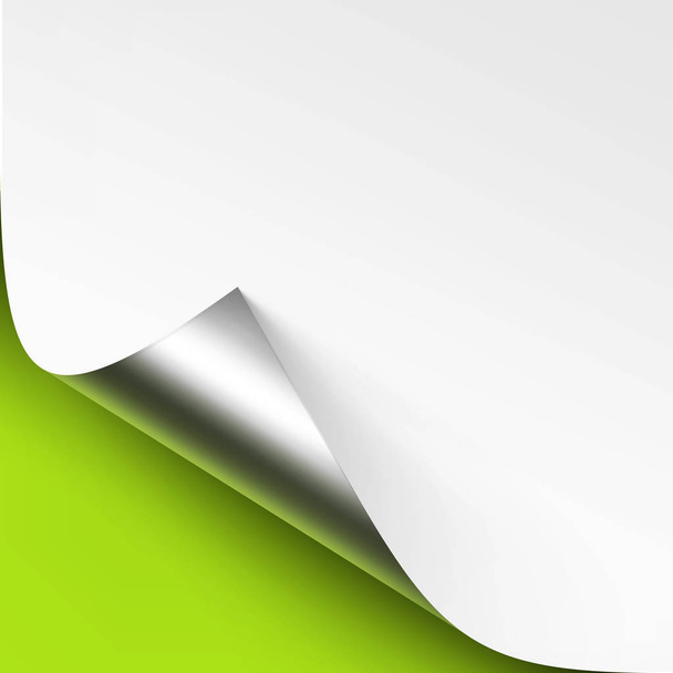 Vector Curled Metalic Silver corner of White paper with shadow Mock up Close up Isolated on Green Lime Background - Vector, Image