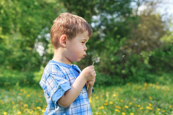 Happy child blowing dandelion outdoors in par. Summer outdoor - Foto, Imagem