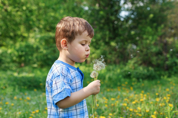 Happy child blowing dandelion outdoors in par. Summer outdoor - Photo, Image