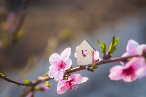 Deliği tarafından bahar ağaçlar çiçekli dalları çevrili kalp şeklinde ahşap ev - Fotoğraf, Görsel