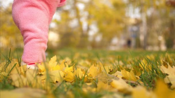 Nohy dítěte procházku podzimní listí. - Záběry, video