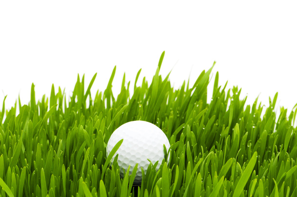 Golfový míček na trávě - Fotografie, Obrázek