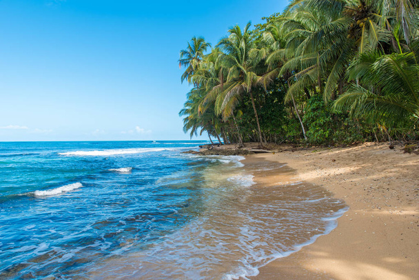 Дикий пляж Paradise в парке Мансанильо в Коста-Рике
 - Фото, изображение