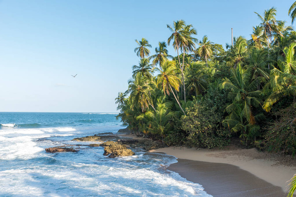 Wild caribbean beach of Manzanillo at Puerto Viejo, Costa Rica - Valokuva, kuva