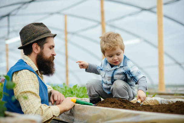 Side view bearded man looking at lovely kid playing in box full of soil. Daddy in blue vest, yellow shirt and hat teaching his son gardening. Family and educational game concepts. - Zdjęcie, obraz