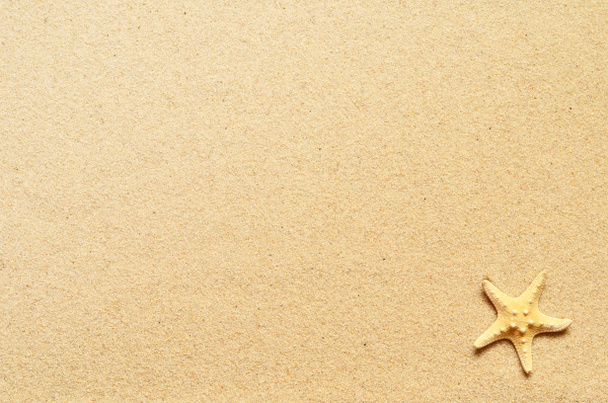 Sea sand with starfish. Top view with copy space. - Zdjęcie, obraz