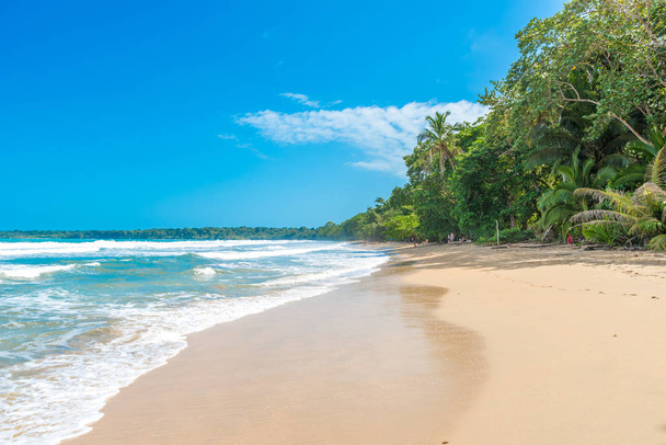 Cahuita - National park with paradise beaches and rainforest in Costa Rica. - Photo, image
