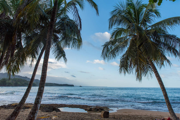 Playa Cocles - tropical beach close to Puerto Viejo, Costa Rica. - Fotó, kép