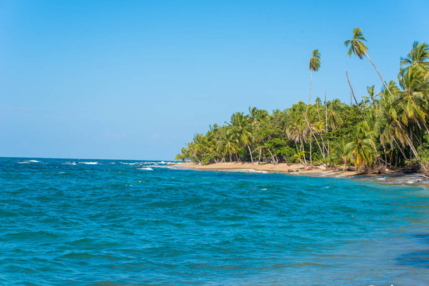 Punta Uva beach in Costa Rica with wild caribbean coast. - Fotografie, Obrázek