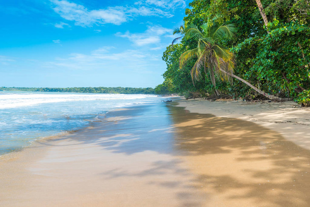 Cahuita - National park with paradise beaches and rainforest in Costa Rica. - Φωτογραφία, εικόνα
