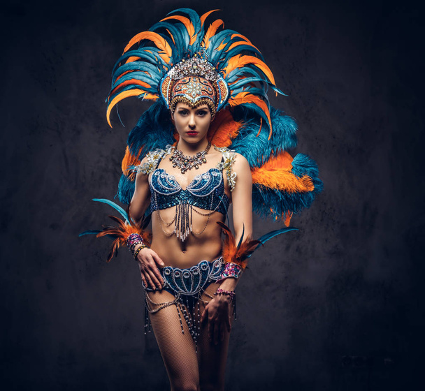 Retrato de estudio de una hembra sexy en un traje de plumas de carnaval suntuoso y colorido. Aislado sobre un fondo oscuro
. - Foto, Imagen