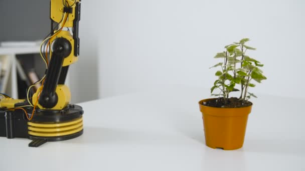ロボット アームは、花に水をまきます。インテリジェントなマニピュレーターとの実験します。産業用ロボットのモデル. - 映像、動画