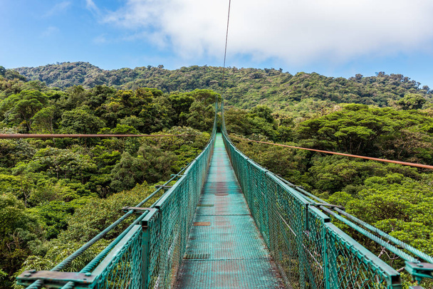 Hanging Bridge in Cloudforest - Costa Rica - Φωτογραφία, εικόνα