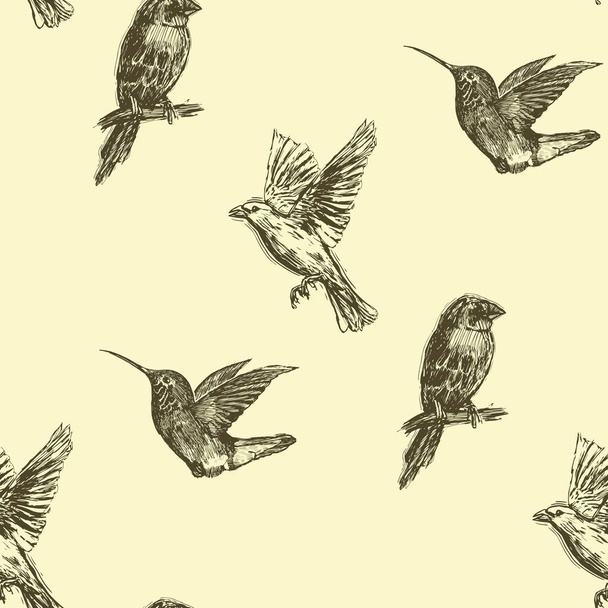 Hummingbird seamless pattern. Hand drawn exotic background. - Vettoriali, immagini