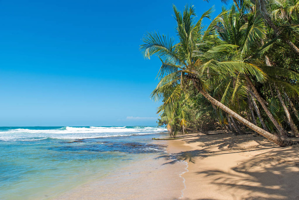 Ráj divokých pláž Manzanillo parku v Kostarice - Fotografie, Obrázek