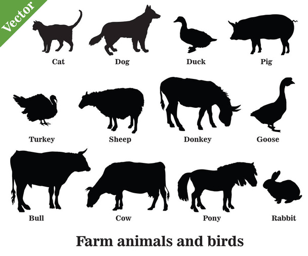 Farm animals and birds silhouettes - Vector, Image