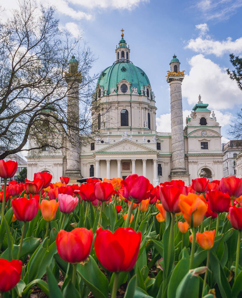 Church in Vienna - 写真・画像